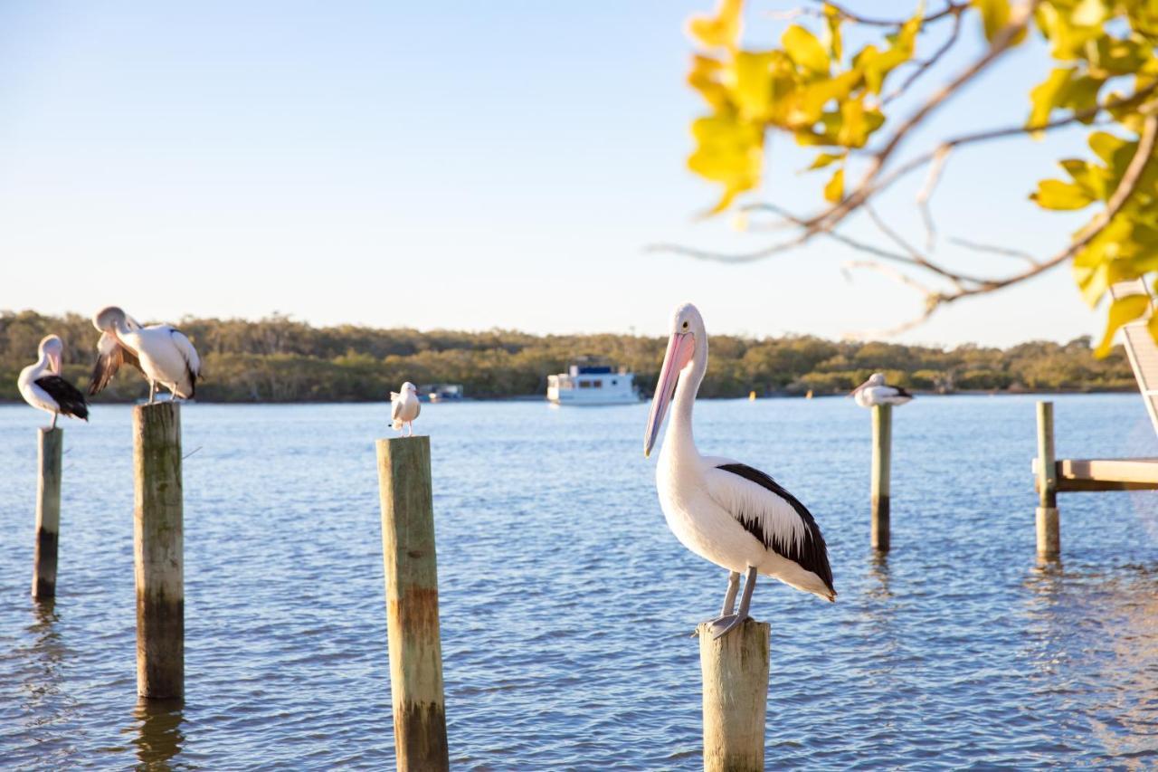 The Islander Noosa Resort Noosaville Kültér fotó